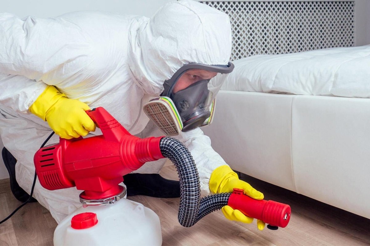 ontsmetting van bedwantsen