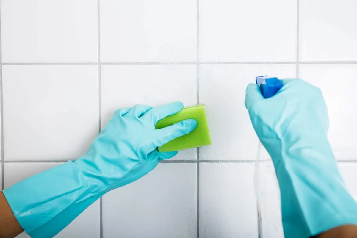 Stel je de verbazing voor als je ziet hoe snel schimmel verdwijnt: dit is geen fabel, maar pure effectiviteit die je moet ervaren