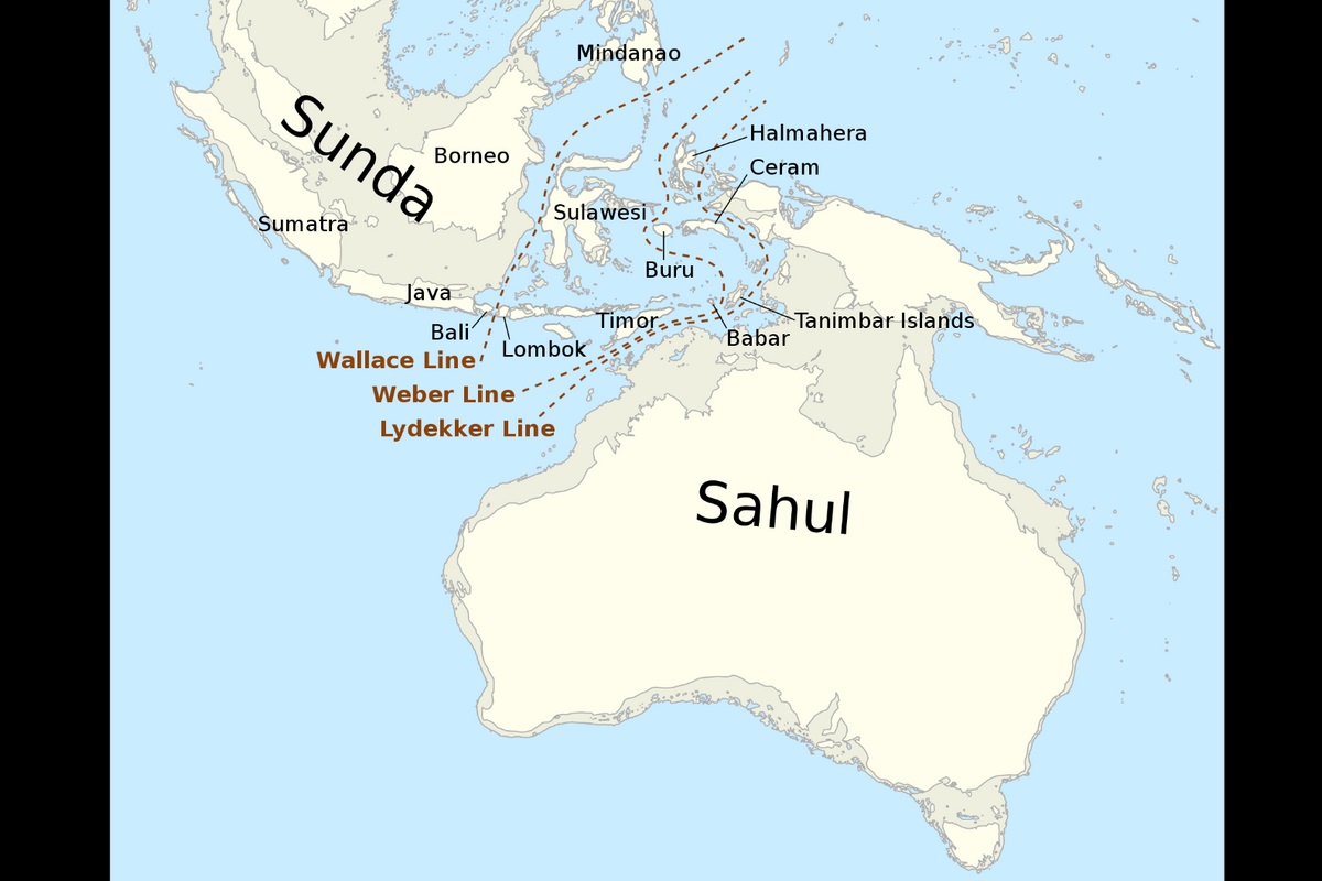 Australië werd door mensen van twee kanten gekoloniseerd