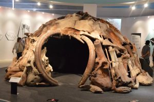 huis van mammoetbotten