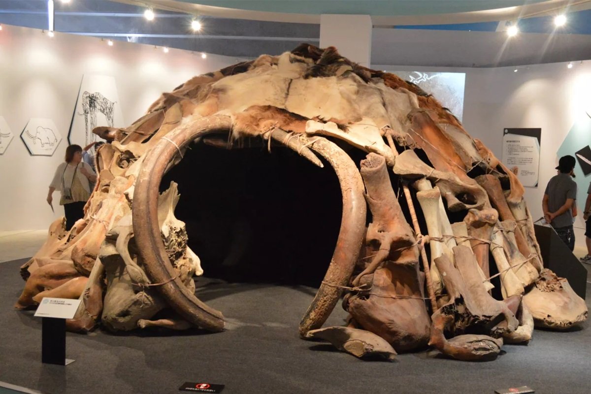 huis van mammoetbotten