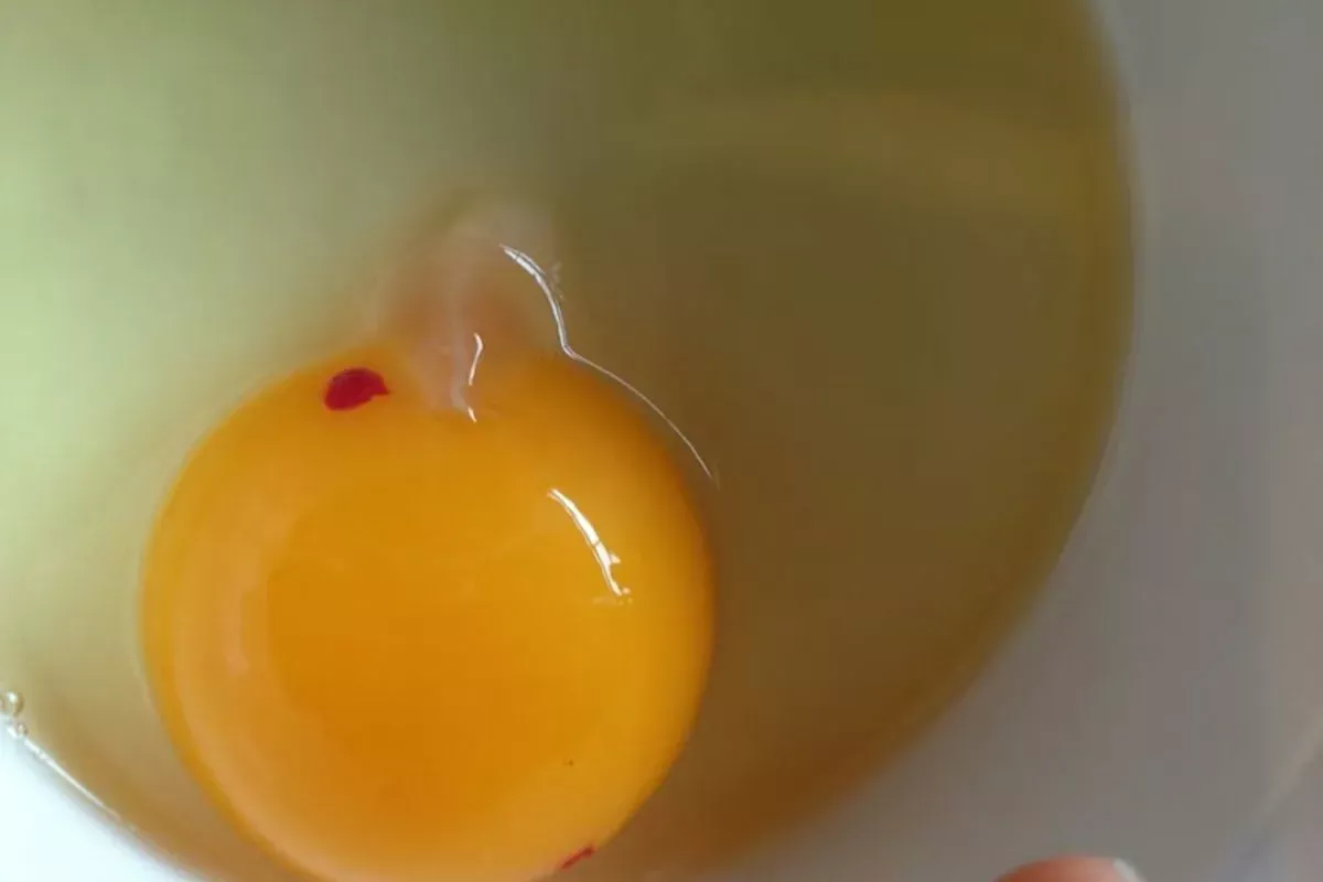 Een ei met een bloedvlekje blijft volledig vers