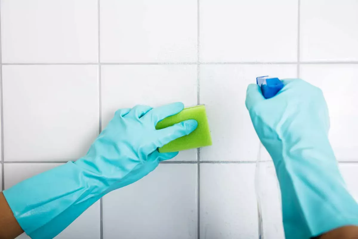 Stel je de verbazing voor als je ziet hoe snel schimmel verdwijnt: dit is geen fabel, maar pure effectiviteit die je moet ervaren