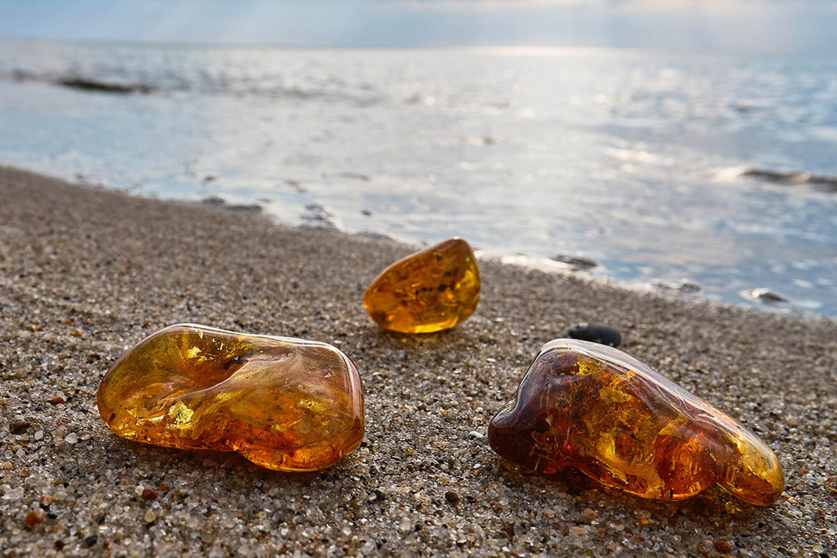 Barnsteen, vaak “het goud van de Baltische Zee” genoemd